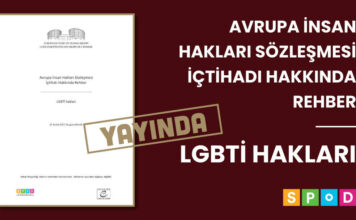 Avrupa İnsan Hakları Sözleşmesi İçtihadı Hakkında Rehber – LGBTİ Hakları