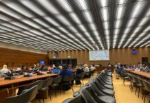 Türkiye’den kadın ve lgbti+ örgütleri 82. CEDAW Oturumunda değerlendirilmek üzere gölge raporlarını sundular