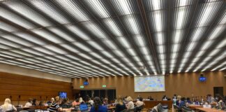 Türkiye’den kadın ve lgbti+ örgütleri 82. CEDAW Oturumunda değerlendirilmek üzere gölge raporlarını sundular