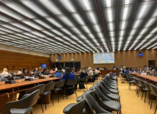 Türkiye’den kadın ve lgbti+ örgütleri 82. CEDAW Oturumunda değerlendirilmek üzere gölge raporlarını sundular