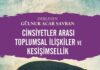 Cinsiyetler Arası Toplumsal İlişkiler ve Kesişimsellik üzerine Gülnur Acar Savran ile söyleşi