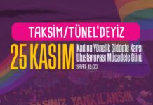 Erkek-devlet şiddetine karşı isyandayız! / İl il 25 Kasım eylemleri