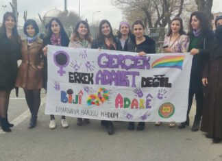 Barolarda kadınlara verilen hukuki destekler üzerine Diyarbakır Barosu Kadın Hakları Merkezi ile söyleşi