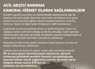 Afet için Feminist Dayanışma: “Acil Geçici Barınma Kamusal Hizmet Olarak Sağlanmalı”
