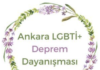 Ölmeyin ama sürünün! / Ankara LGBTİ+ Deprem Dayanışması’ndan Yıldız Tar’la söyleşi