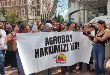 Agrobay direnişinden kadınlar anlatıyor