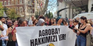 Agrobay direnişinden kadınlar anlatıyor