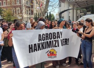 Agrobay direnişinden kadınlar anlatıyor
