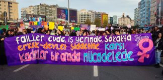 Birbirini taşıyanlara