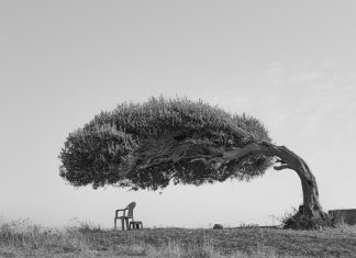 Kolektifin kırılgan hafızası Skander Khlif “The Tree Of Life“