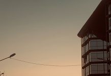 Yakılan coğrafyaların ortasında: Bir tanıklık ve ağıt