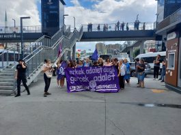 Kadın Cinayetlerine Karşı Feministler: Ayşe Tokyaz cinayetinde fail erkekleri koruyan düzene karşı mücadeleye devam