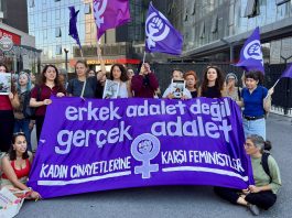 Kadın Cinayetlerine Karşı Feministler: Ayşe Tokyaz cinayeti davasında katil yalnız Cemil Koç değil sistematik erkek şiddeti!